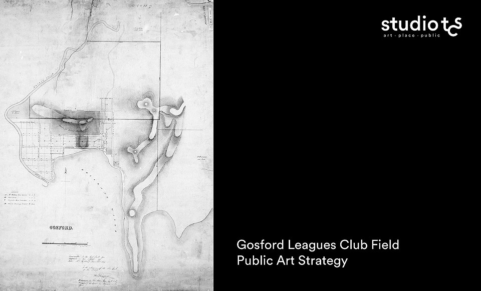 Gosford Leagues Club Field Public Art Strategy