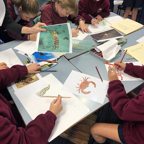 Operation Crayweed Art Project